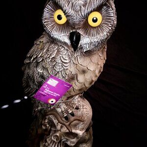 2.5 Ft Owl and Skull Blow Mold LED Light Up Eyes Halloween